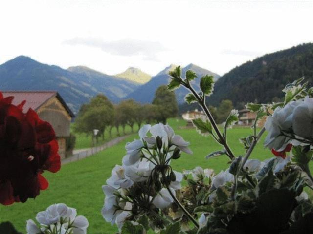 Haus Friedl Hotel Kitzbühel Buitenkant foto